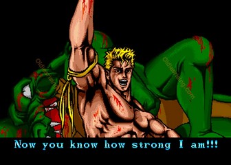image de The First Funky Fighter